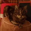 Foto von Angelika